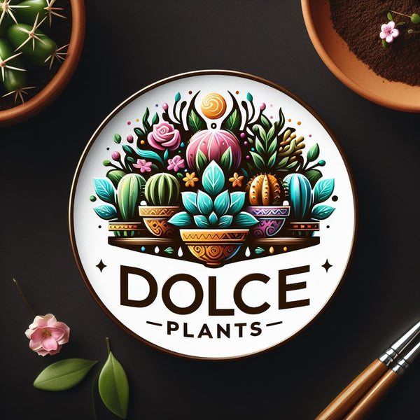 Dolce Plants